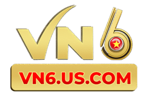 logo-VN6